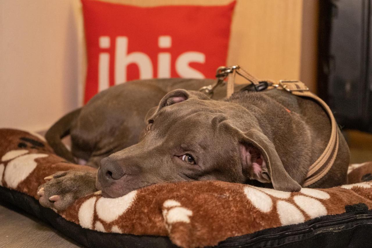 Ibis Cartagena Marbella Ξενοδοχείο Εξωτερικό φωτογραφία